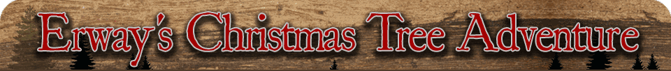 Erway's Christmas Tree Adventure