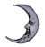 moonlit tree walk